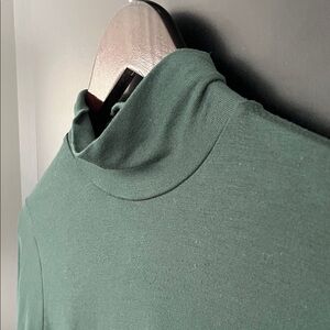 Banana Republic Modal Turtleneck